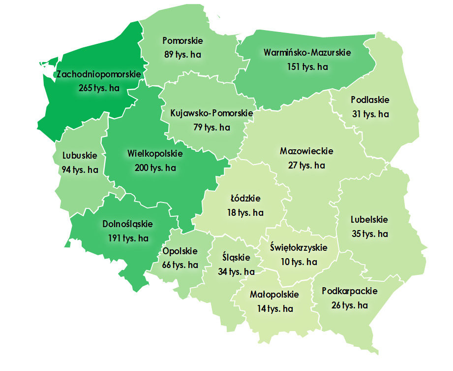 Rys. 1. Grunty pozostające w Zasobie WRSP (1 328,3 tys. ha) wg stanu na 31 marca 2025 r. w podziale na województwa