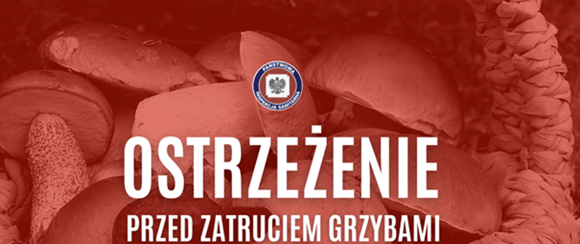 Zatrucia grzybami