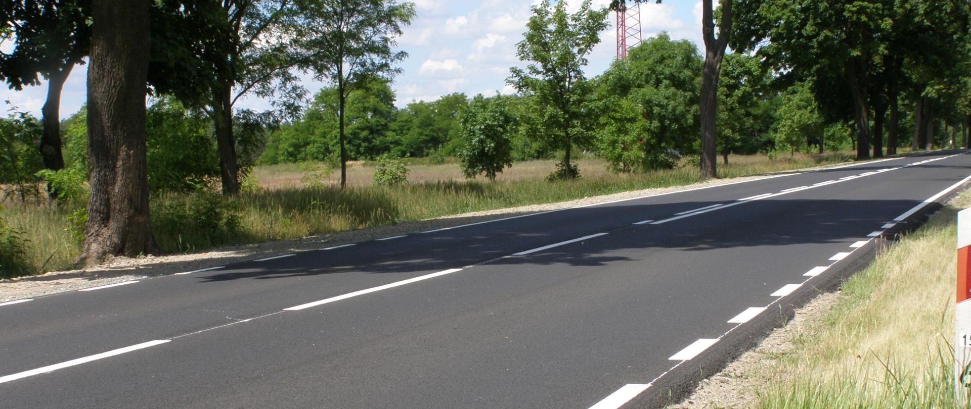Droga jednojezdniowa, w sąsiedztwie łąki i przydrożne drzewa.