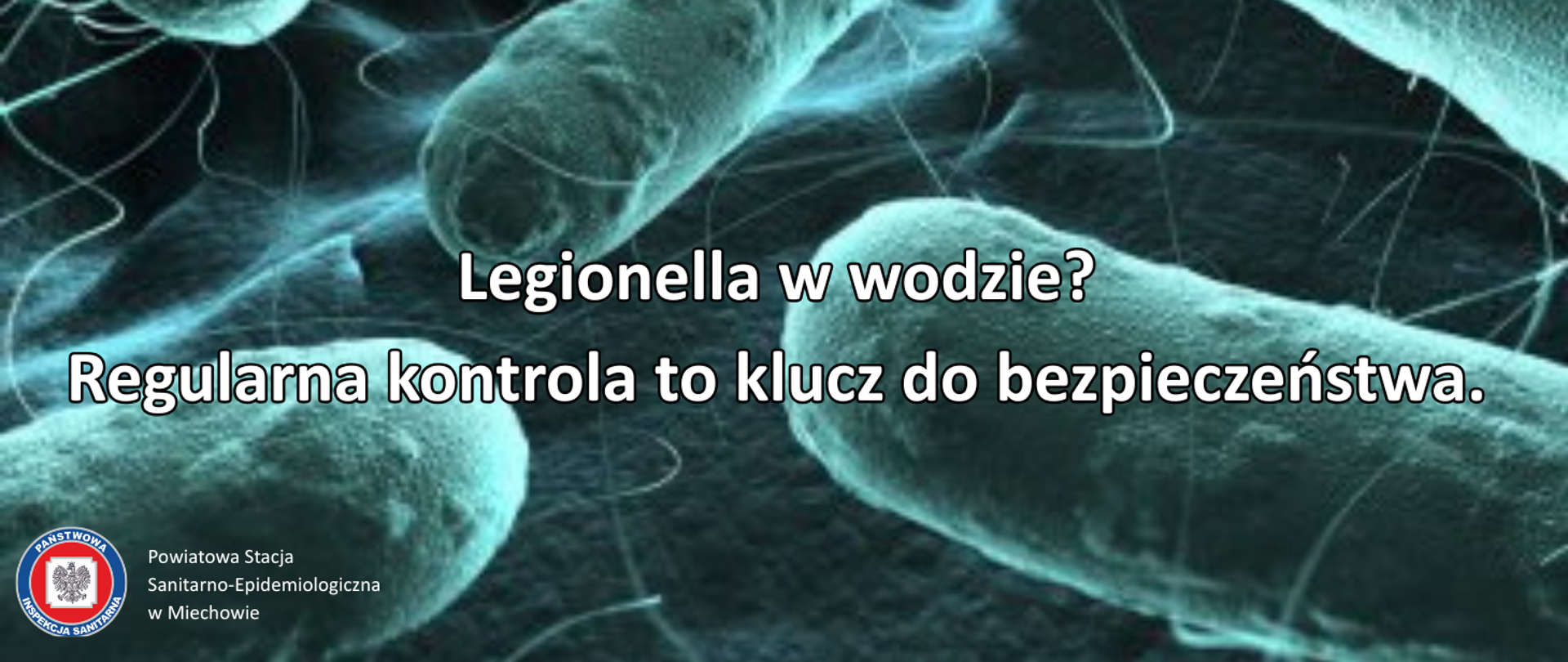 Legionella w wodzie Regularna kontrola to klucz do bezpieczeństwa